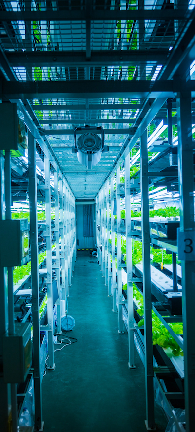 Data at the Edge smart agriculture